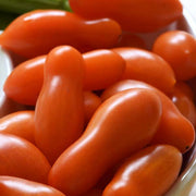 Sun Dipper F1 Untreated Tomato