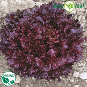 Brentwood Organic, NOP-Compliant Pellet, Lettuce