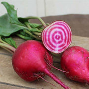 Anello Untreated Beet