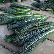 Black Magic Untreated Kale