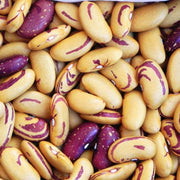 Tiger's Eye Untreated Bean