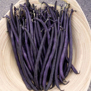 Velour Untreated Bean
