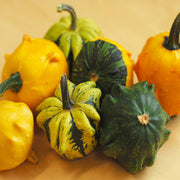 Daisy Mix Untreated Gourd