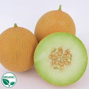 Arava F1 Organic Melon