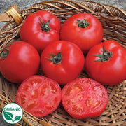 Skyway 687 F1 Organic Tomato