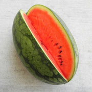 Dark Belle F1 Untreated Watermelon