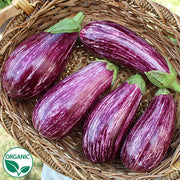 Annina F1 Organic Eggplant