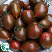 Chocolate Sprinkles F1 Organic Tomato