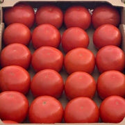 Carole (B-3345) F1 Untreated Tomato
