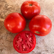 STM 2255 F1 Untreated Tomato