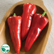Carmen F1 Organic Pepper