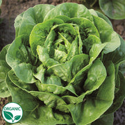 Dragoon Organic, NOP-Compliant Pellet, Lettuce