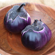 Niobe F1 Untreated Eggplant
