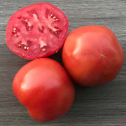 RuBee Goddess F1 Untreated Tomato