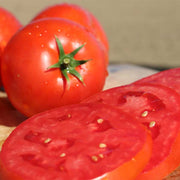 Big Beef Plus F1 Untreated Tomato