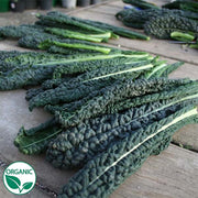 Black Magic Organic Kale