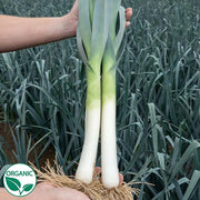 Defender F1 Organic Leek