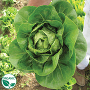Spretnak Organic, NOP-Compliant Pellet, Lettuce