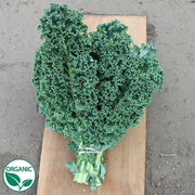 Arun F1 Organic Kale