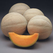 Athena F1 Untreated Melon