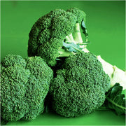 Tahoe F1 Treated Broccoli