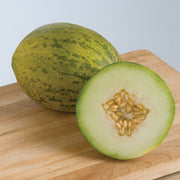 Lambkin F1 Untreated Melon Seeds