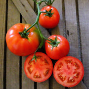 Big Beef F1 Untreated Tomato Seeds