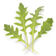 Athena Untreated Arugula