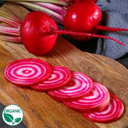 Chioggia Guardsmark Organic Beet Seeds