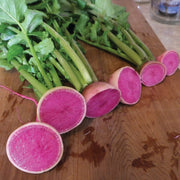 Red Meat Untreated Radish