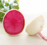 Starburst F1 Untreated Daikon Radish