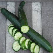 Summer Dance F1 Untreated Cucumber