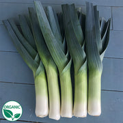 Comanche F1 Organic Leek