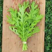 Green Frills Untreated Mustard