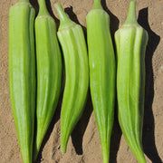 Clemson Spineless Untreated Okra