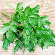 Dark Green Italian Untreated Parsley Herb Seeds