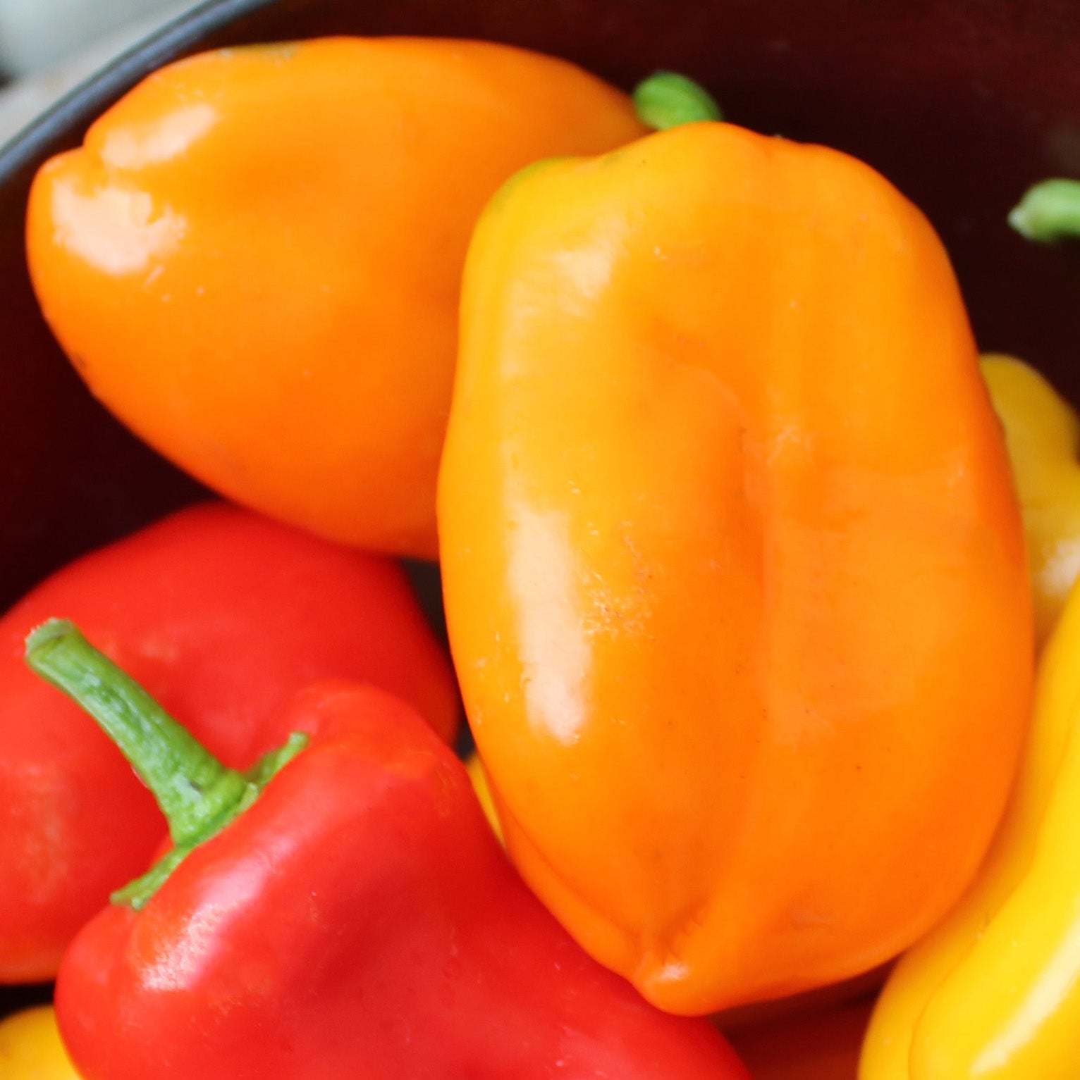 Sweetie Orange F1 Untreated Pepper Seeds Osborne Farm Seeds