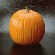 Howden Untreated Pumpkin