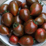 Chocolate Sprinkles F1 Untreated Tomato Seeds