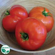 Siletz Organic Tomato