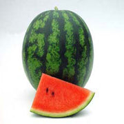 Cathay Belle F1 Untreated Watermelon