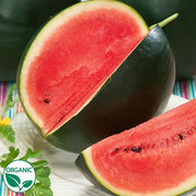 Sugar Baby Organic Watermelon