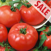 Chef's Choice Red F1 Untreated Tomato