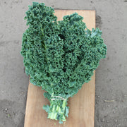 Arun F1 Untreated Kale