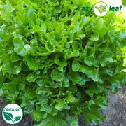 Hampton Organic, NOP-Compliant Pellet, Lettuce