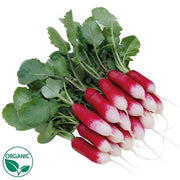 Patricia Organic Radish