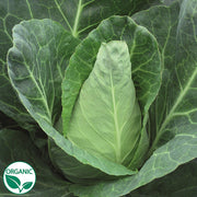 Caraflex F1 Organic Cabbage