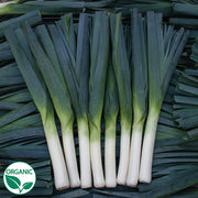 Oslo F1 Organic Leek