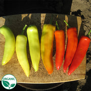 Hungarian Hot Wax Organic Pepper