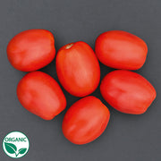 Plum Regal F1 Organic Tomato